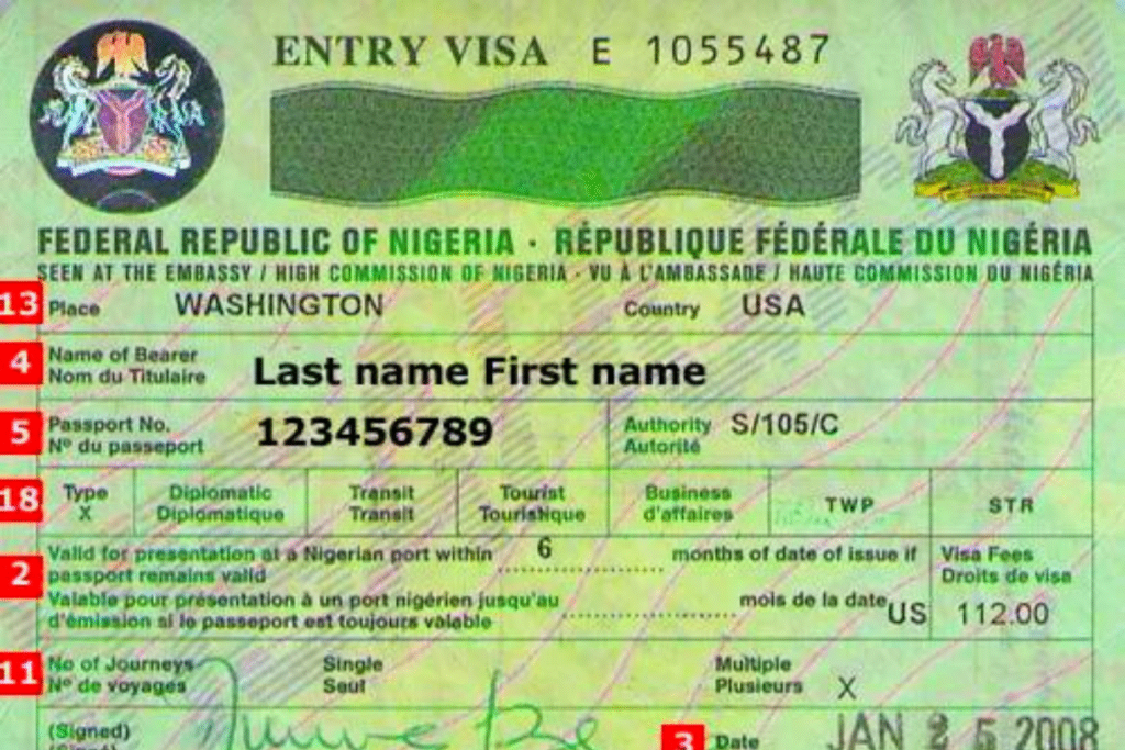 how-to-apply-for-nigeria-visa-2021-2022-updated