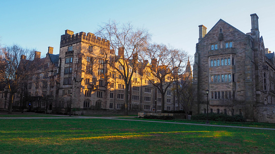 Yale University Free Online Courses