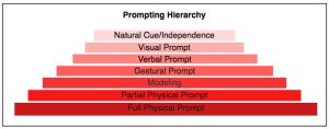 prompting strategies used in naturalistic teaching approaches