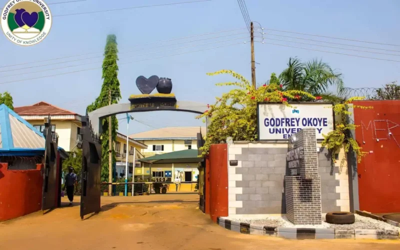 Godfrey Okoye University