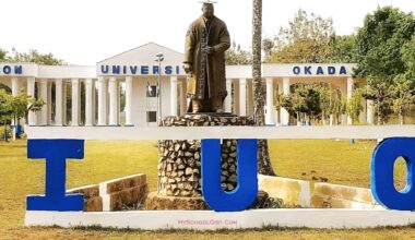 Igbinedion University cutoff mark
