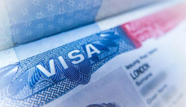U.S.Visa Sponsorship